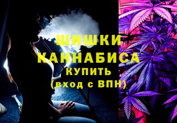 сатива Бугульма