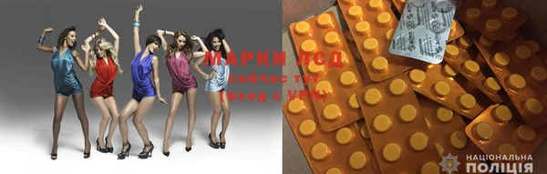 хмурый Богданович