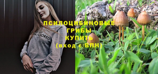 хмурый Богданович
