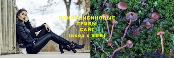 мяу мяу кристалл Бородино