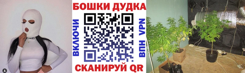 Бошки Шишки индика  где можно купить наркотик  Верхний Тагил 